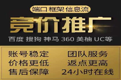 实战派经验分享：百度竞价代理成功案例揭秘